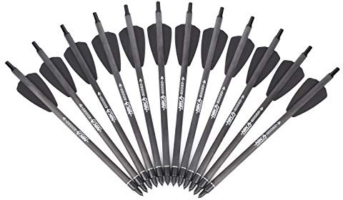 NIKA ARCHERY 7,5 Zoll Armbrustschrauben Carbonpfeile mit 2 Flügeln für Cobra System R9 Bogenjagd, 12er Pack