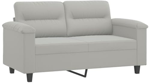 vidaXL Sofa 2-Sitzer, Loungesofa Couch mit Armlehnen Rückenkissen, Wohnzimmersofa Designsofa mit Metallgestell, Sitzmöbel Zweisitzer, Hellgrau Mikrofasergewebe