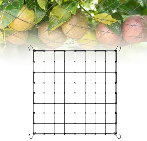 Dunkwckore Rete per Piante Rampicanti, 60×60 cm Supporto Piante Tenda, Rete Elastica Traliccio Giardino con 4 Ganci, Griglia Esterno Alte Prestazioni Frutta Crescita Verticale, Extensible 100×100 cm