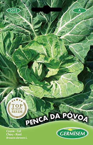 Germisem Kohl PENCA DE PÓVOA