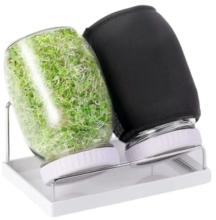 HINAYOSAN Estación de germinación que ahorra espacio con tarro de vidrio doble y componente apto para lavavajillas, adecuada para alfalfa interior de jardinería con soporte