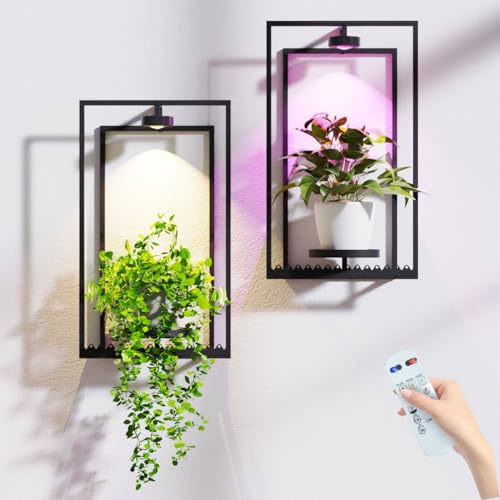 Starxing Pflanzenständer Pflanzenhalter Wand 2 Set, Wandregal für Pflanzen mit Metallrahmen und Fernbedienung, Bilderrahmendeko Blumentopf Wandhalterung mit Wachstumslicht für Wohnzimmer (2, Groß)