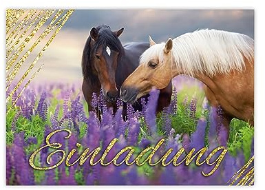 Minkocards 12 Einladungskarten zum Kindergeburtstag Mädchen Pferde Einladungen zum Geburtstag Kinder bunte Geburtstagseinladungen
