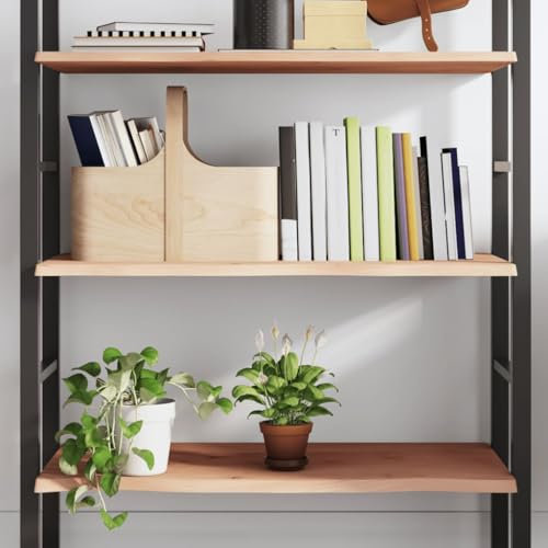 LLEZKBR Möbelstück-Wandregal 80x50x2cm unbehandelt Massivholz Eiche