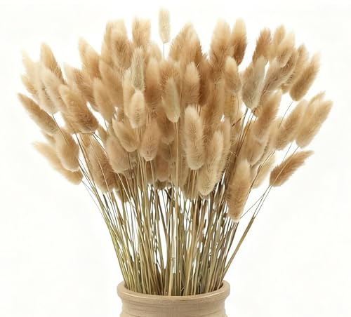 120 fiori secchi naturali di erba della pampa, fiori secchi da 43 cm, fiori secchi per decorazione, erba della pampa in massa alta, coda di coniglio, fiori secchi per matrimoni bohémien