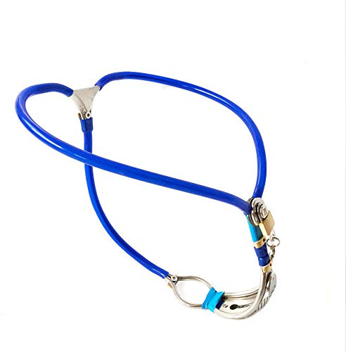 ZTHBYSB Damen Edelstahl Y-Art Keuschheitsgürtel Bondage Unsichtbare Unterhose Keuschheitsschloss mit Defäkationsloch Keuschheitskäfig für Frau Privacy Spiel,Blau,Taille90~100cm