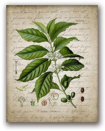Ling88 Wall Art,Wall Decor,Canvas Painting Home Modern Picture Print Coffee Making Retro Poster Percolator Nordic Style Wall Art Kitchen Restaurant Decor-30X40Cm