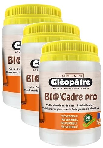 CLÉOPÂTRE Lot de 3 Colles encadrement amidon à PH neutre BIO'CADRE PRO 250g