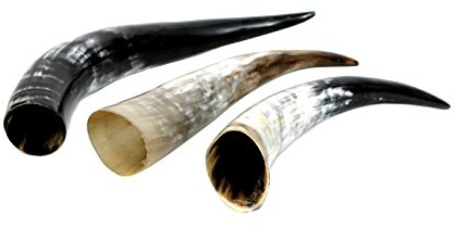 Brillibrum Design 1 Stück Edle Kuhhörner 20-90 cm XXL Stierhörner Poliert Trinkhorn Trophäe Jagd Dekoration Wohnzimmer