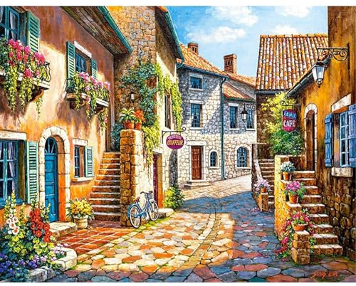SHEGZHUC 50 x 40 cm, pietre quadrate per la casa del caffè, barbiere, decorazione per la casa rurale, vicolo, mosaico, diamante, pittura artistica, ricamo a punto croce, immagini regalo, decorazione