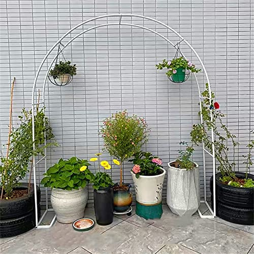 Arche de rosier en métal galvanisé résistant aux intempéries - Support treillage pergola pour terrasse / plantes grimpantes