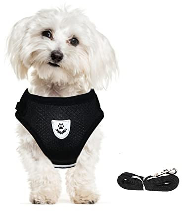 meioro Hundegeschirr mit Leine-Reflektierend Weich Gepolstert Hunde Geschirr-Atmungsaktiv Verstellbare Brustgeschirr für Kleine Mittelgroße Welpen Katzen-Schwarz Weste (Schwarz, XS-Brust:26-29cm)