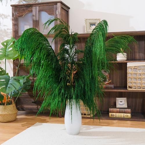 Decoración de Hierba de Pampa Verde Alta, 4 piezas de 110 cm de Gran Hierba de Pampa Seca Colorida Natural, Floral de Pampa Verde con Aroma de Flores Secas, Planta Seca para el Salón