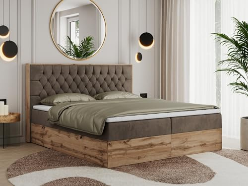 MKS MEBLE Boxspringbett Amore 180x200 cm, Bett mit Bettkasten, Wotan Eiche Holzrahmen, Multipocket Matratze H4, Topper T25, mit gepolstertes Kopfteil – Braun Velvet