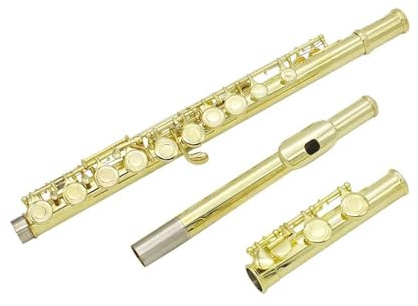 Querflöte Anfänger 16 Geschlossene Offene Löcher C-Taste Professionelles Querflöten-Konzertmusikinstrument Mit Box-Tuch-Stick-Handschuhen(Gold)