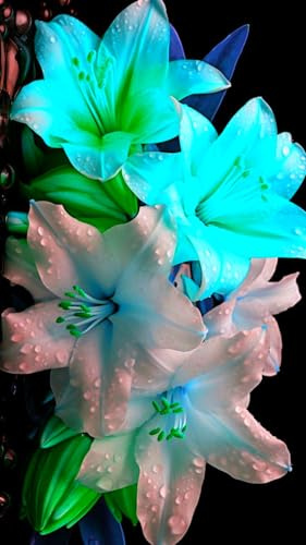 giglio bulbi,Robusto, Nobile, Delicato, lilium bulbi,Elegante, Naturale-4 bulbi-D