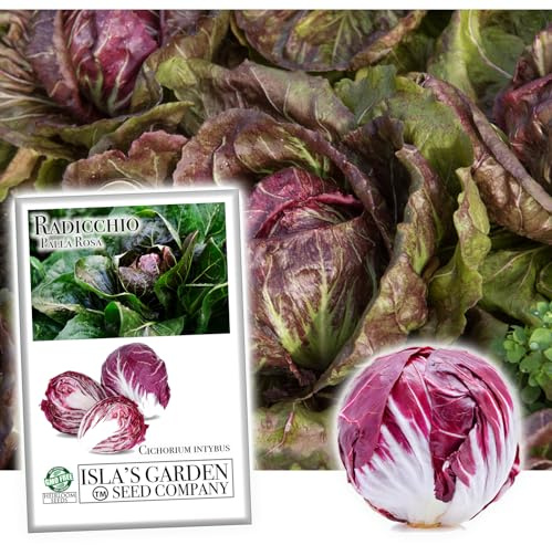 Radicchio Seeds for Planting - Isla's Garden - Palla Rossa Radicchio, 500 Seeds Per Packet, Non GMO & Heirloom Seeds, Cichorium Intybus, Great in Salad, Great Gift