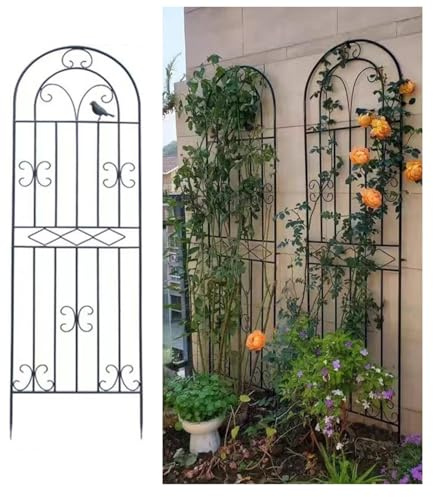 Treillis de jardin en métal 180 x 50 cm pour plantes grimpantes, vignes en pot, légumes et fleurs – Prend en charge le lierre, les roses, les concombres, les clématites – Décoration extérieure de