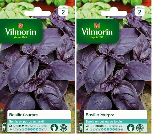 Vilmorin 5873046 Pack de Graines Basilic Pourpre (Lot de 2)