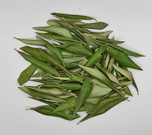 Foglie di Olivo Secche Greche 85 Grammi - 1.95 Chili - Qualità Premium (85 grammi)