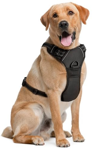 Hundegeschirr für große Hunde – Extragroß, Schwarz – Weich gepolstertes und verstellbares Anti-Zug-Geschirr für Haustiere zum Laufen und Wandern – von EcoEarth