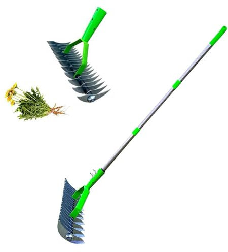 SONLED Lawn Aerator Scarifier, Lawn Aerator Spikes Aerating Tool with Handle, Moss Removal Garden Tool, Effective Manual Lawn Grass Soil Aeration and Scarification for Lawn Care & Maintenance 1.7m
