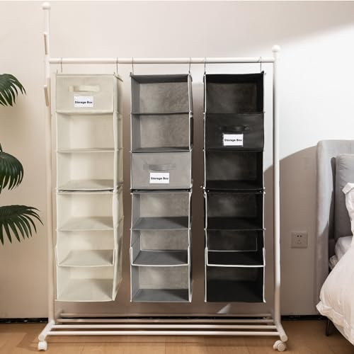 BrilliantJo 6 Fächern hängeregal Kleiderschrank Organizer Flexible 1 Split in 2, Faltbare Hängeaufbewahrung mit 1 Schubladen Eisengestell Hängeorganizer Ordnungssystem Set - Schwarz 30 x 30 x 110 cm