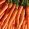 CAROTA SAN VALERIO NR.1000 SEMI