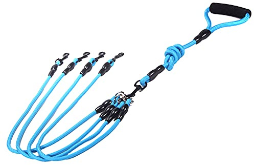 Wallfire Hundetraining Leine, Heavy Duty robuste Nylon Pet Walking Koppler Leine Geflochtenes Seil Hundeleine für große, mittlere und kleine Hunde (Color : Blau, Size : 4 Way)