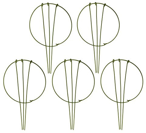 wowoda 5er-Pack Gartenpflanzen-Stützringe für grüne Pflanzen, Stützringe für Tomaten, Kletterpflanze, Blumen (15 cm breit x 27,9 cm hoch)