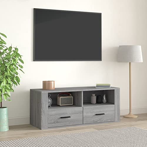 Iiaky TV-Schrank Grau Sonoma 100x35x40 cm Holzwerkstoff Tv Tisch Tv Kommode Spielekonsole FüR Fernseher
