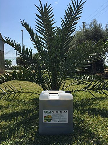 MN SRL Concime Liquido Professionale NPK 2.5-7-13+Organico e microelementi (30)