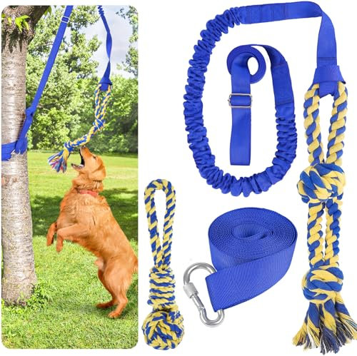 XiaZ Tug of War Hundespielzeug, interaktives Hundespielzeug, Bungee-Hänge-Haltegurt mit 2 Kauseil-Spielzeugen, strapazierfähig, Welpen, Outdoor-Aktivität, Aggressive Kauer, Beste kleine bis große