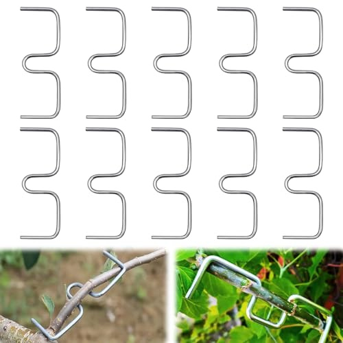 30 Stück Astspreizer für Obstbäume, Aststütze für Obstbäume Astklammern Metall M Förmiger Astspreizer Zweigspreize Tragbare Astzieher Halter für Obstzweige Pflanzenstütze für Gartenzweige (13cm)