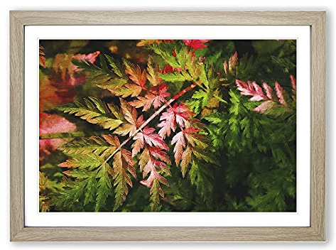 Fern Leaves Vol.2 Painting Framed Print | A2 Oak Framed Wall Art | Ready to Hang | Modern Floral Picture | Living Room Bedroom Lounge Office