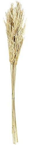 Pampasgras Ziergras Getrocknet Creme Bund Trockenblumen Deko Gras Natur 75cm