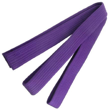 Ruilogod 220cm x 4cm Lila Arts Karate Gürtel