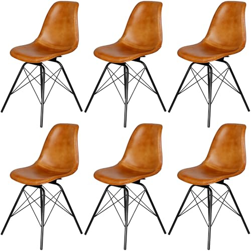 Casa Moro Stühle Esszimmer 6er Set Essstühle Echtleder Stuhl Cognac Lederstühle Sitzschale Metallgestell Wartezimmerstühle Konferenzstühle Modern