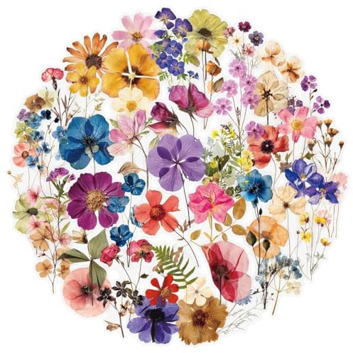 AYZDJ 100 Transparente Scrapbooking Aufkleber, PET Blumen Aufkleber Pflanzen Sticker, Flower Stickers, Blumenaufkleber für Scrapbook Fotoalbum Sammelalbum Laptops Handwerk