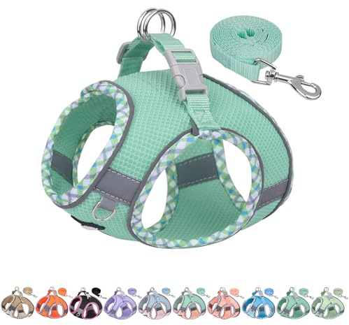 AIITLE Kleines Hundegeschirr, Katzengeschirr mit Leine, einstellbares Hundegeschirr mit Schnellverschluss, reflektierende Weste für extra kleine Hunde und Hauskatzen Türkis XXS | No Pull Step-in Weste Atmungsaktives Mesh Ausbruchsicheres Design mit High Stick Magic Tape Outdoor für Chihuahua Malteser