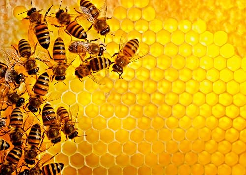 Ravensburger - Puzzle Adulte - Puzzle 1000 pièces - La Ruche aux Abeilles (Challenge Puzzle) - Adultes et Enfants à partir de 14 Ans - Puzzle de qualité supérieure - Nature - 12000614