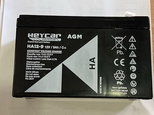Batterie rechargeable 12 V et 9 Ah pour voitures électriques enfants 12 V