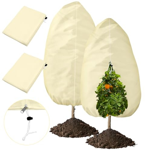 2 Stück Winterschutz Pflanzen AußEn, 100 X 160 cm 70g/m² für KüBelpflanzen