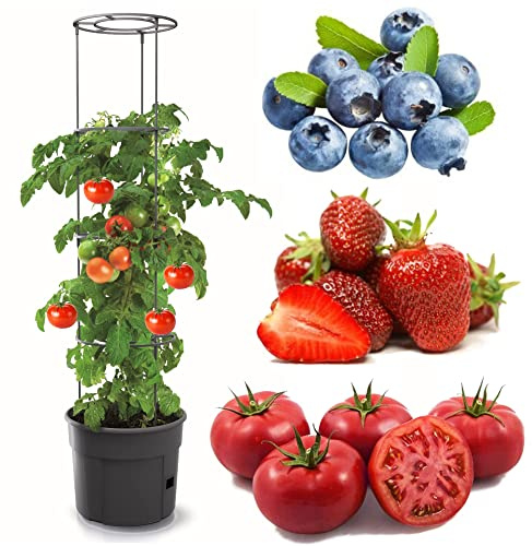 Tomatkruka, planteringskruka, 28 l, tomatodlingskruka, överkruka, grönsaker, tomater