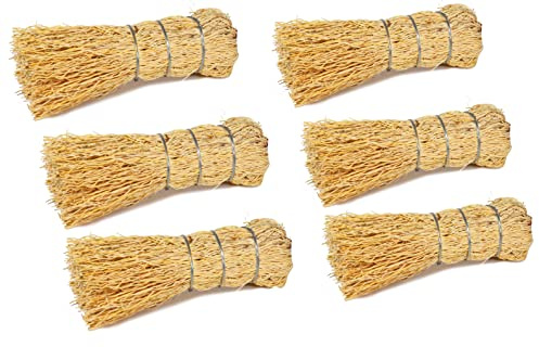 Brush Escobeta De Raiz Natural/Mexican Root Brush 5 (Set of 6)