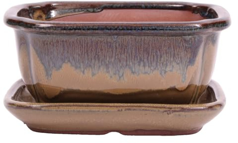 Bonsai - Schale eckig 16 x 12.5 x 7.5 cm, beige/grünblau, mit Untersetzer 23187