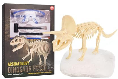 Dino Ausgrabungsset,Dinosaurier Spielzeug,3D-Skelett Dinosaur Modell Dino Ausgrabungsset,Dino Skelett zum ausgraben-Ideale Experimentierkasten, Geschenk und Dino Spiel für Kinder (Pliosaurs)