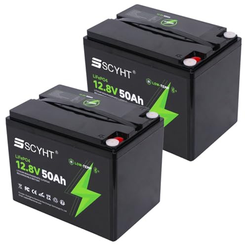 SSCYHT Batería Litio 12V 50Ah Batería LiFePO4 50Ah Baterías de Iones de Litio 12V Baterías Repuesto para energía Solar para Kit Motor 250W a 650W con BMS y asa.,12v50ah 2pack