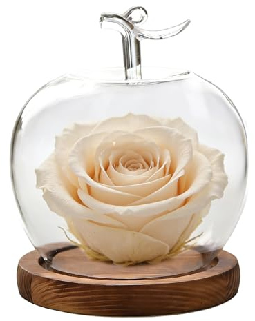 Glass Dome with Base,Fruit Shape Table Decoration,Clear Display Dome Cover | for Collectors Home Office Retail Store Wedding Jewelry Collectibles Figures Dolls Dining Table Souvenirs