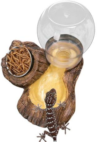 para Reptiles, Plato de alimentación para Reptiles, Cuenco de Agua y Comida de Leopardo, para recinto, terrario, Tortuga, Tortuga, Serpiente, dragón Barbudo, camaleón, Leopardo